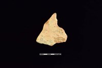 連杯形器藏品圖，第2張